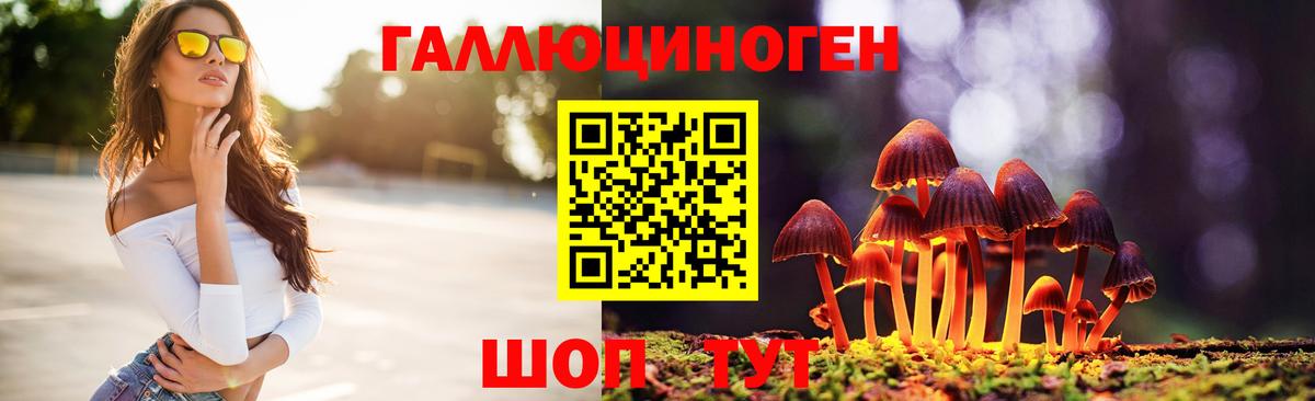 наркошоп  Псилоцибиновые грибы Cubensis  Благовещенск  Вход с VPN  Галлюциногенные грибы Cubensis 