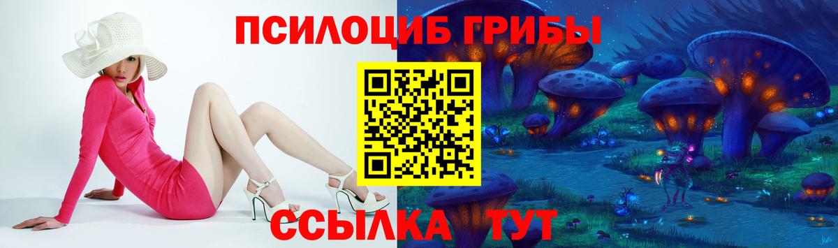 Галлюциногенные грибы Cubensis Благовещенск